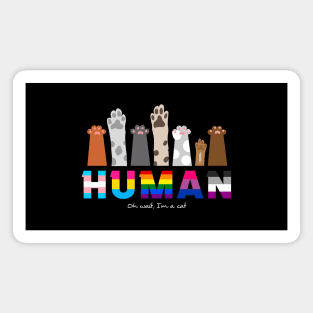 Human Rights, with Cat Paws Magnet